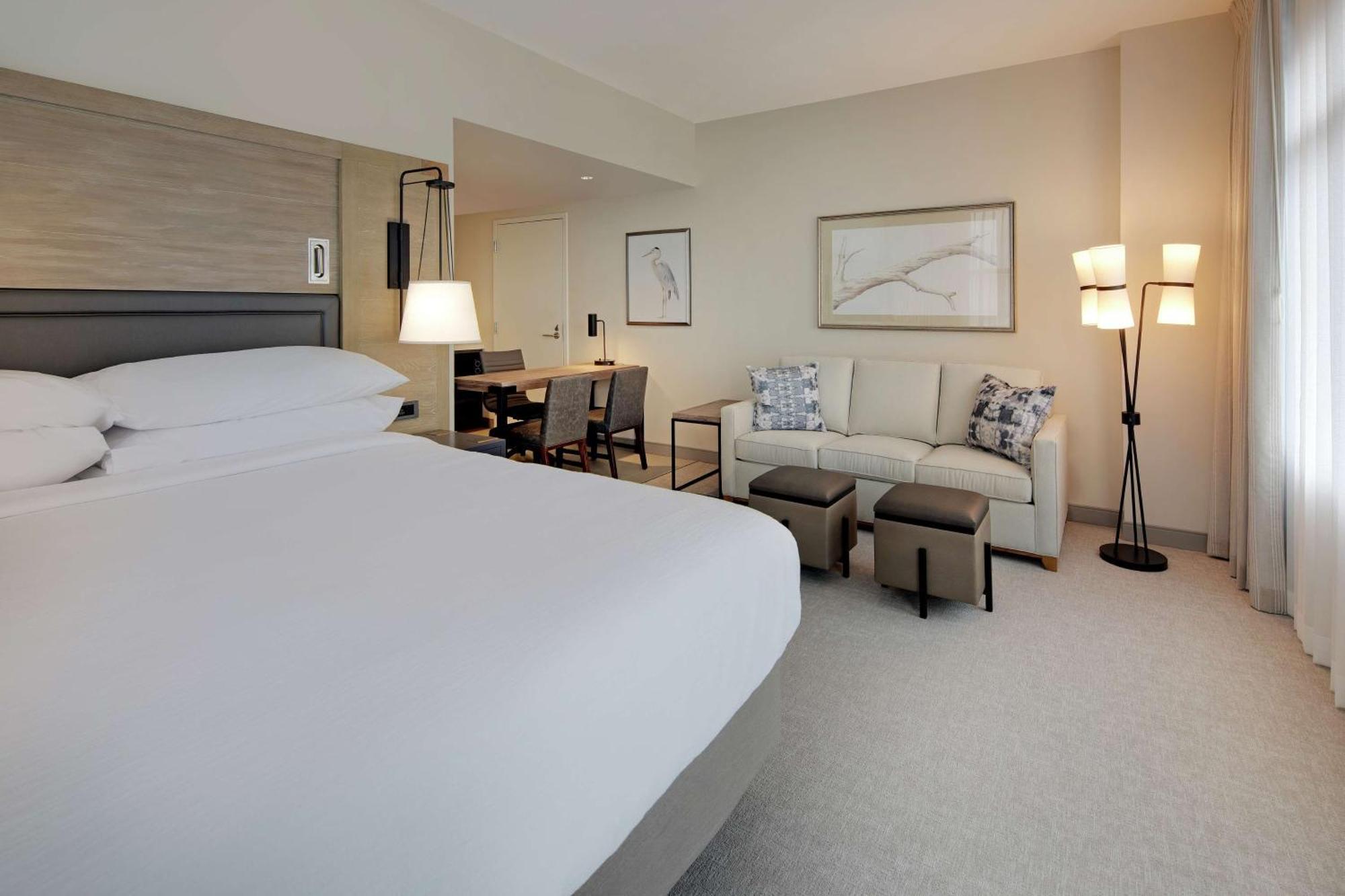 King Suite Accessible Tub Mobility Access